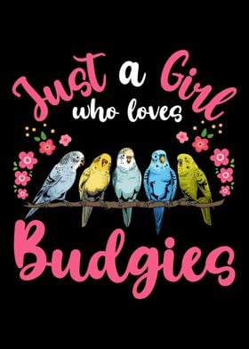 Budgie Budgerigar Budgie L