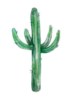 Minimalistic Cactus