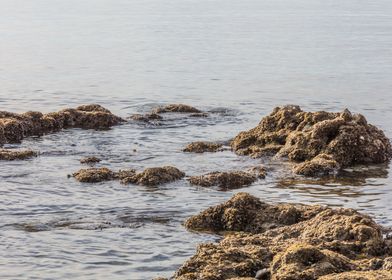 rocks and reefs 