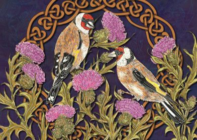 Goldfinches and Thistles