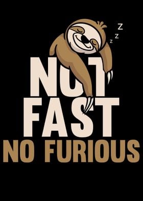 No Fast No Furious