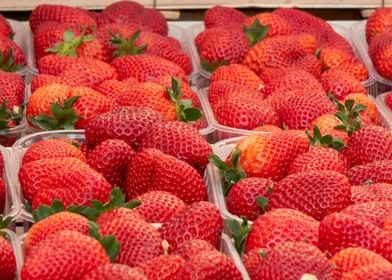 ripe strawberries