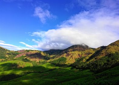 mountain blue green tree