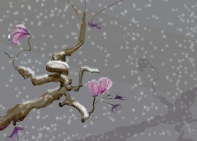 Blossom in the Snow