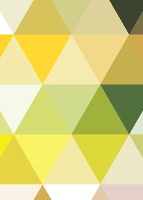 Abstract color LowPolygon