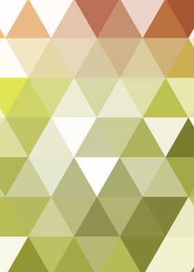 Abstract color LowPolygon