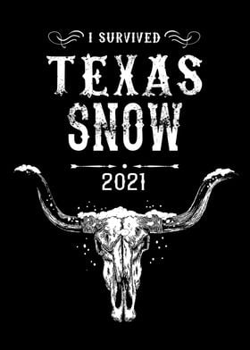 Texas Snow 2021