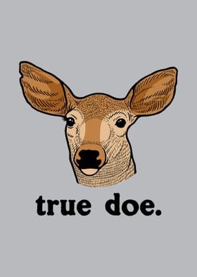 True Doe Poster Deer Hunt