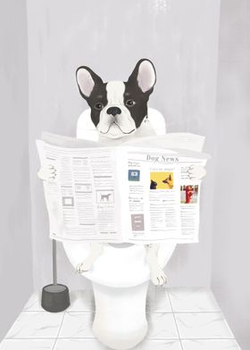 French Bulldog in Toilet