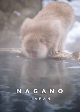 Nagano Monkey park