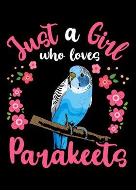 Parakeet Budgie Birds Para