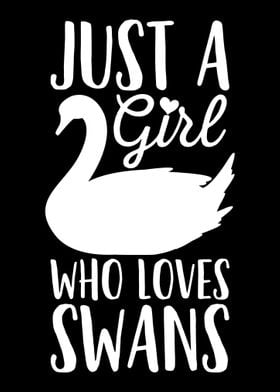 Swans Waterbird Swan Lover