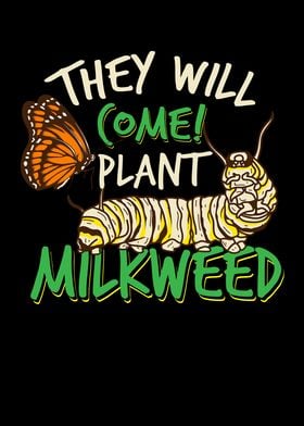 Plant Milkweed