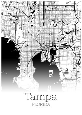 Tampa Florida city map