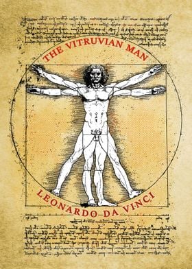 Vitruvian Man Da Vinci