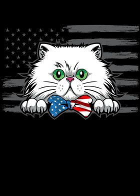 USA Cat 4th Of July