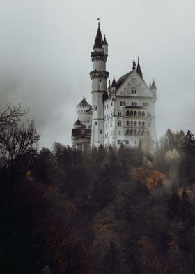 Castle in the fog