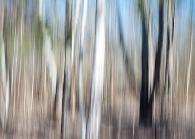 Abstract panning wood tree