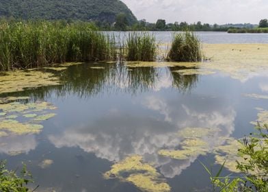 landscape lake