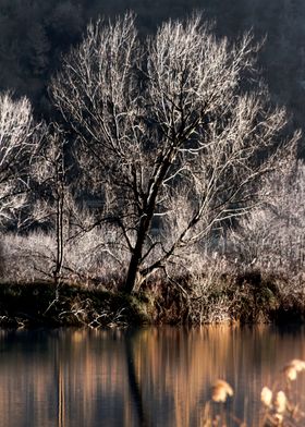 landscape lake