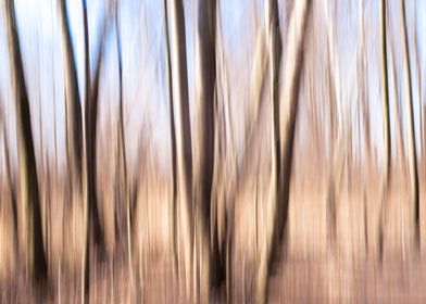 Abstract panning wood tree