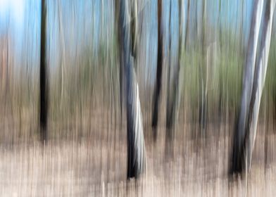 Abstract panning wood tree