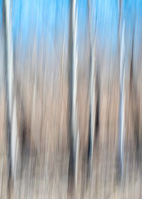 Abstract panning wood tree