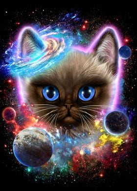 Siamese Cat in Space