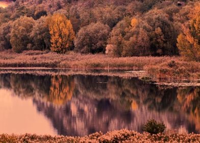 landscape lake