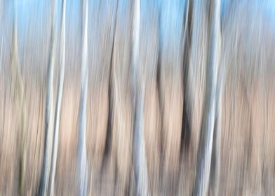 Abstract panning wood tree