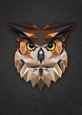 Polygon Owl