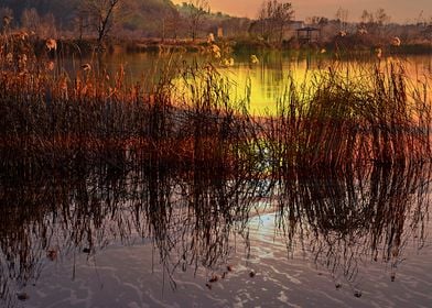 landscape lake