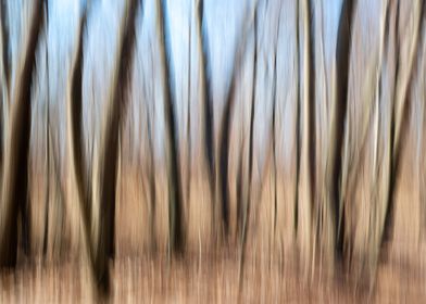 Abstract panning wood tree