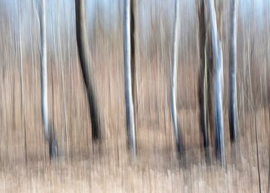 Abstract panning wood tree