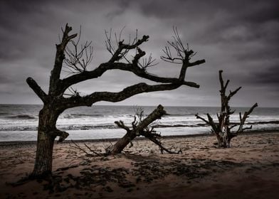 Suffolk Beach