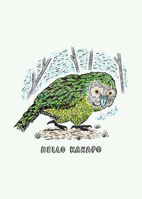 Hello Kakapo