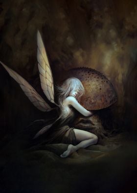 Mushroom and Fairy