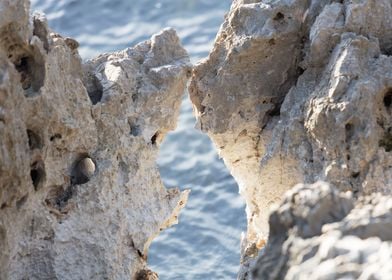 marine jagged rocks at sea