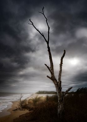 Suffolk Beach