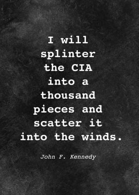 John F Kennedy Quote D028