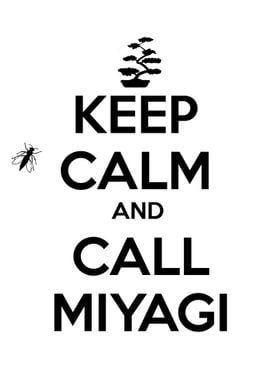 Miyagi karate kid 