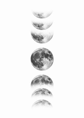 moon phase