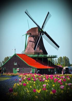 windmill