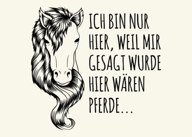 Witziger reiten Spruch