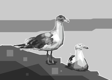 Seagull Grayscale