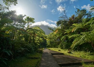 mountain green tree sun