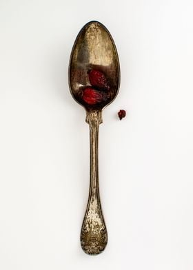 Rose hips on silver spoon