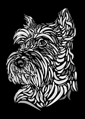 Yorkshire terrier bw