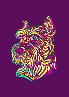 Yorkshire terrier colors