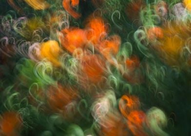 Motion blur flowers